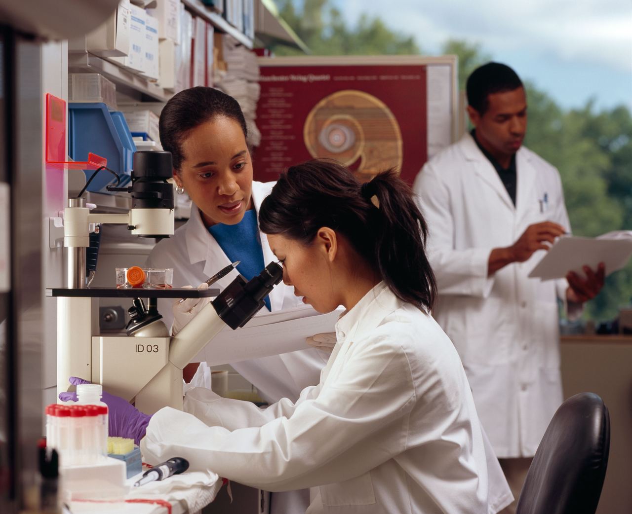 Researchers reviewing data in a laboratory